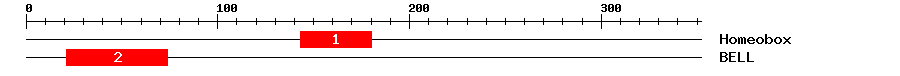 Signature Domain