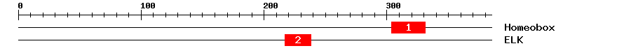 Signature Domain