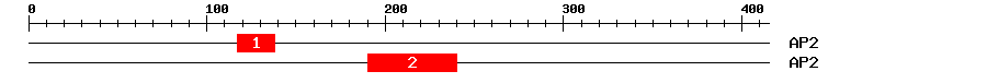 Signature Domain