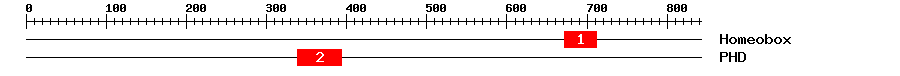 Signature Domain