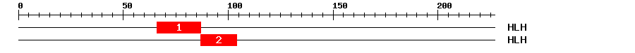 Signature Domain