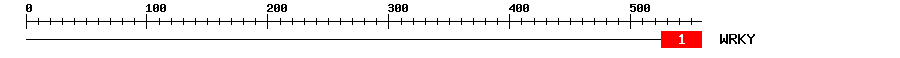 Signature Domain