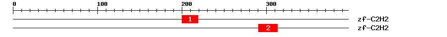 Signature Domain