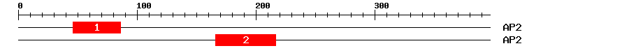 Signature Domain