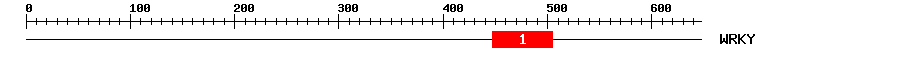 Signature Domain