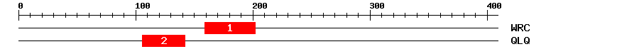 Signature Domain