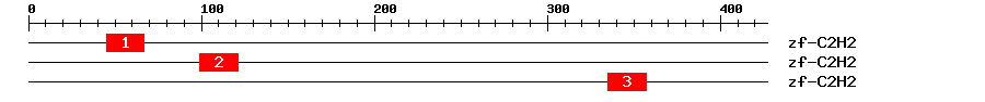 Signature Domain