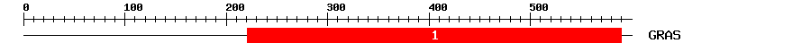 Signature Domain