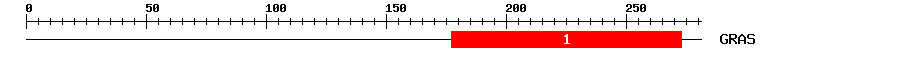 Signature Domain