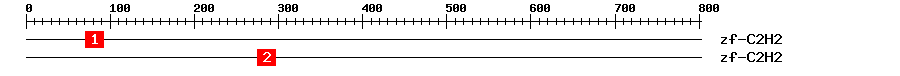 Signature Domain
