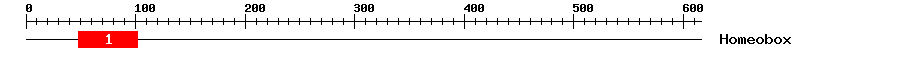 Signature Domain