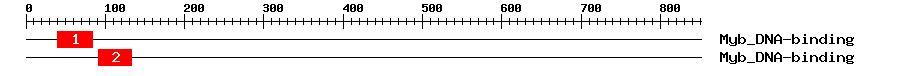 Signature Domain