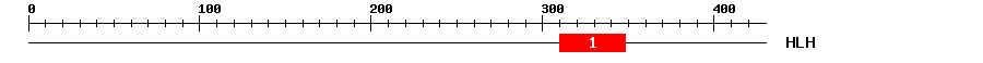 Signature Domain