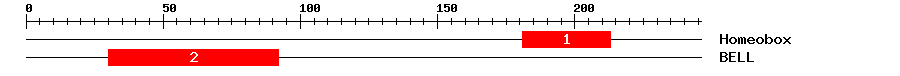 Signature Domain