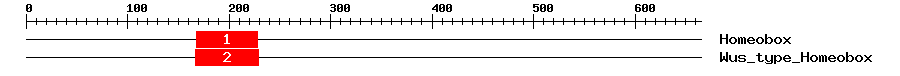 Signature Domain