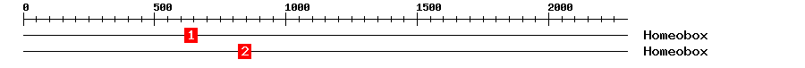 Signature Domain