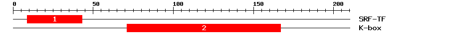 Signature Domain