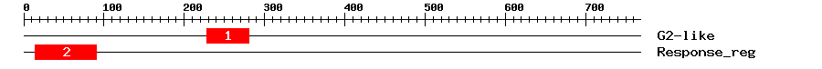 Signature Domain