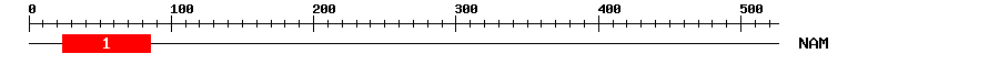 Signature Domain