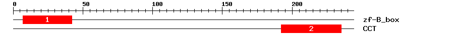 Signature Domain