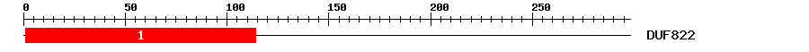 Signature Domain