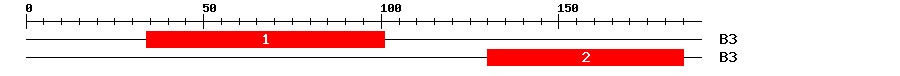 Signature Domain