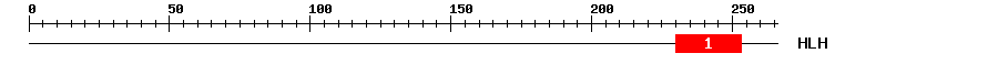 Signature Domain