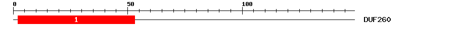 Signature Domain