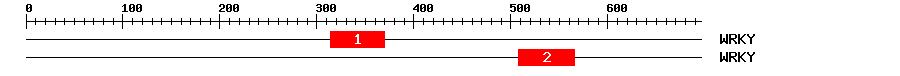 Signature Domain