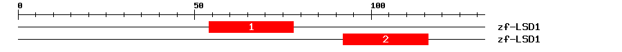 Signature Domain