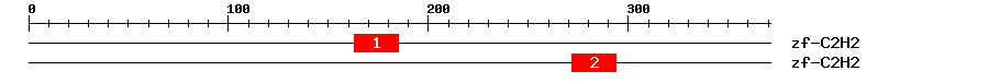 Signature Domain