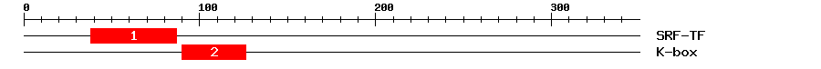 Signature Domain