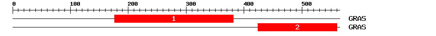 Signature Domain