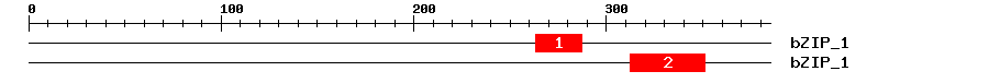 Signature Domain