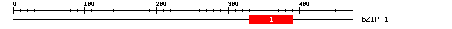 Signature Domain