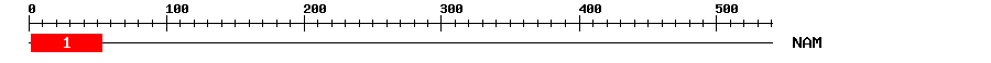 Signature Domain