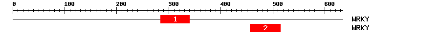 Signature Domain