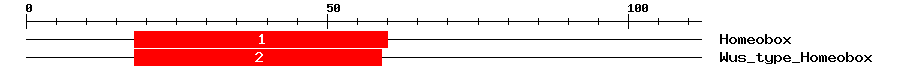 Signature Domain
