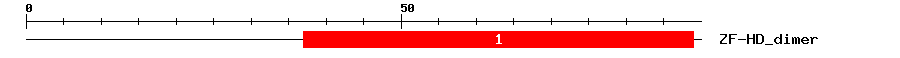 Signature Domain