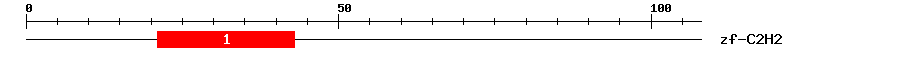Signature Domain