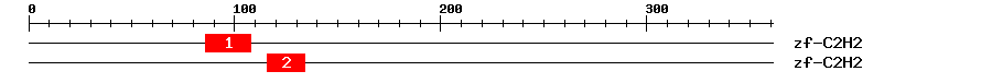 Signature Domain