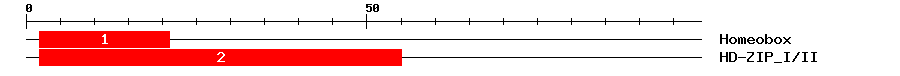 Signature Domain