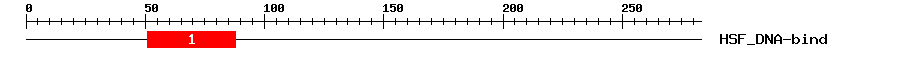 Signature Domain