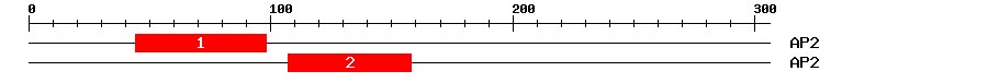 Signature Domain