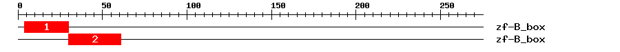 Signature Domain