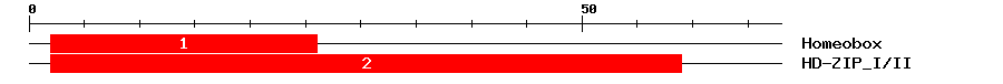 Signature Domain