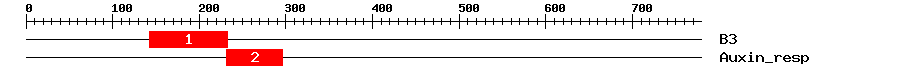 Signature Domain