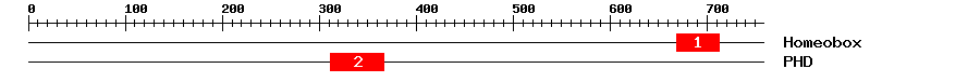 Signature Domain