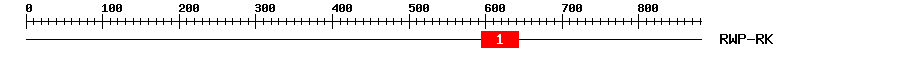 Signature Domain