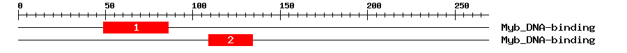 Signature Domain